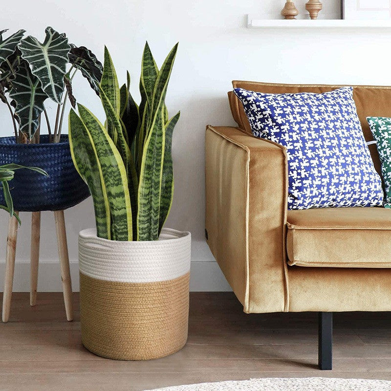 Modern Woven Indoor Plant Storage Basket Flower