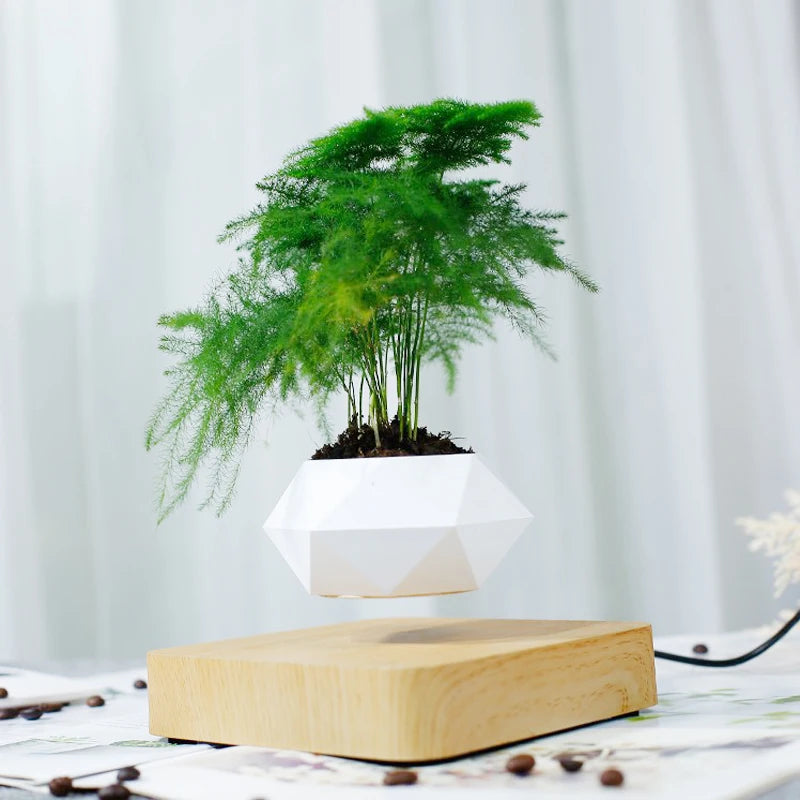 Magnetic Magical floating bonsai pot , floating in the air ,rotating 360 degrees automatically