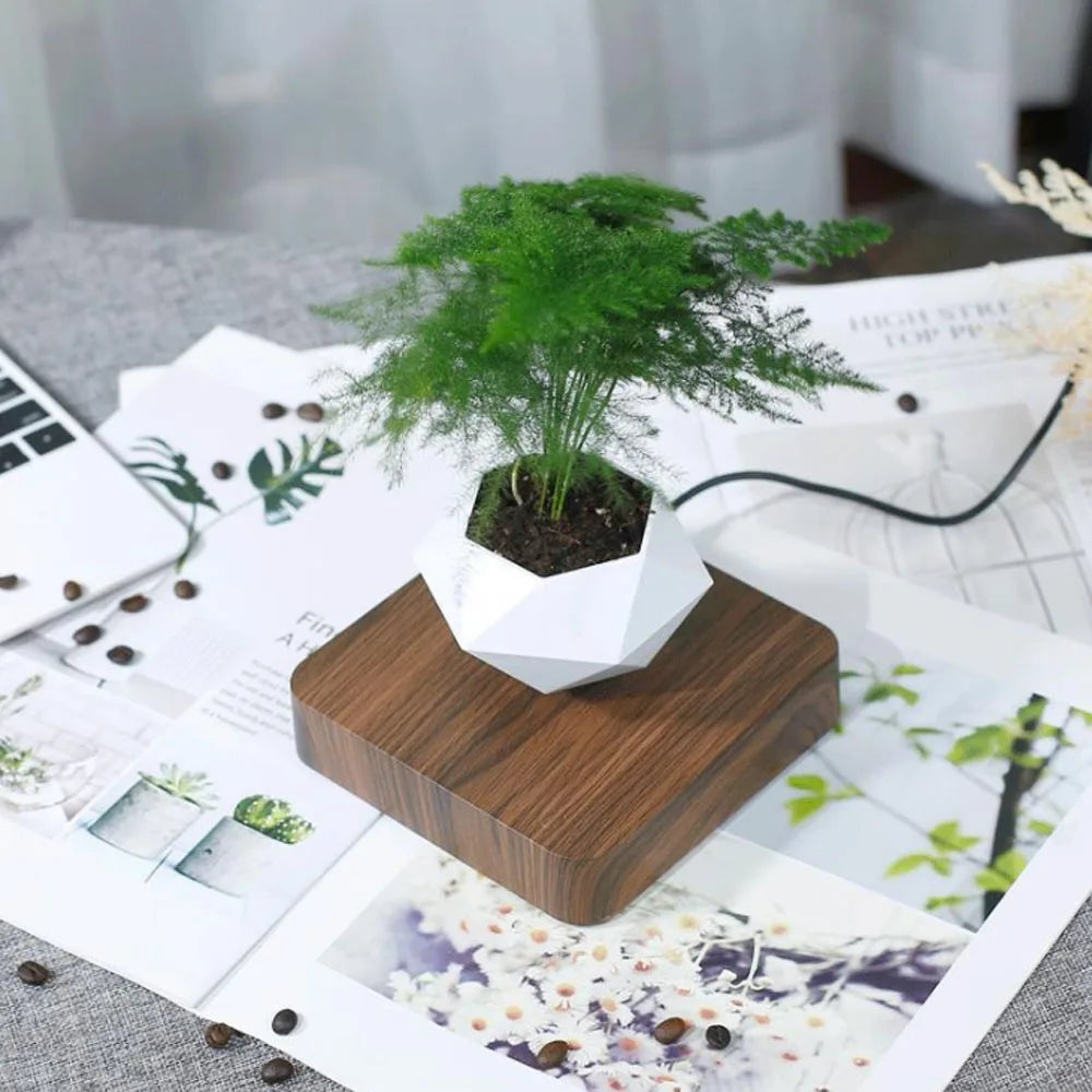 Magnetic Magical floating bonsai pot , floating in the air ,rotating 360 degrees automatically