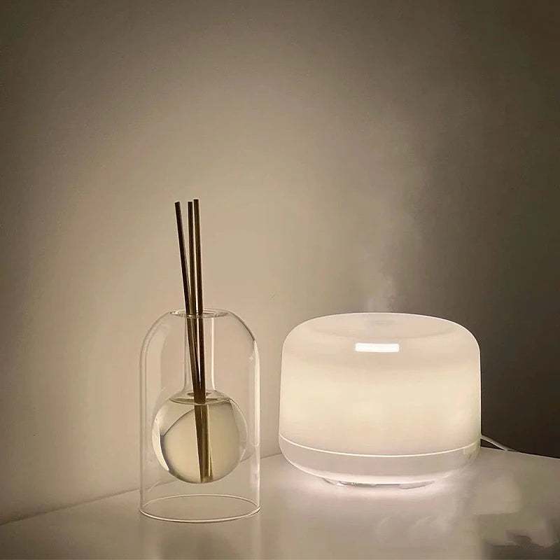 Aromatherapy Diffuser Bottle with Sticks