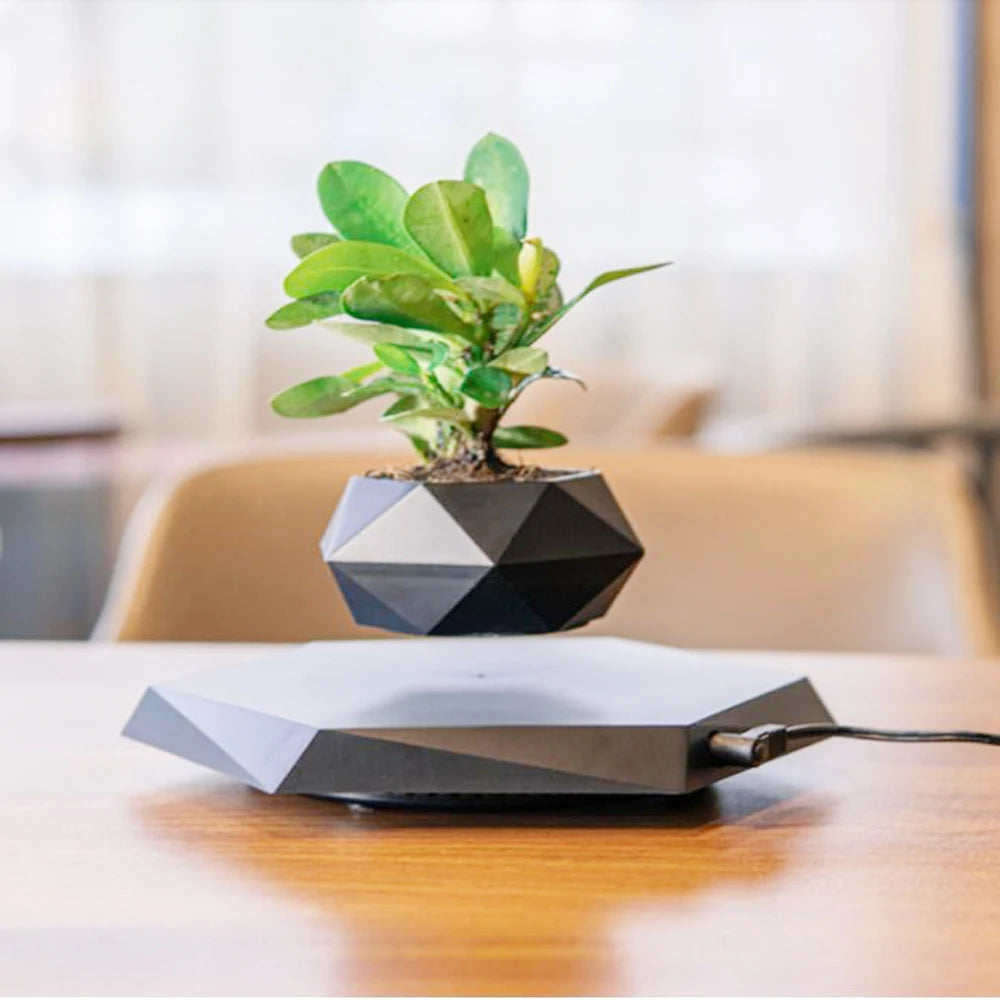 Magnetic Magical floating bonsai pot , floating in the air ,rotating 360 degrees automatically