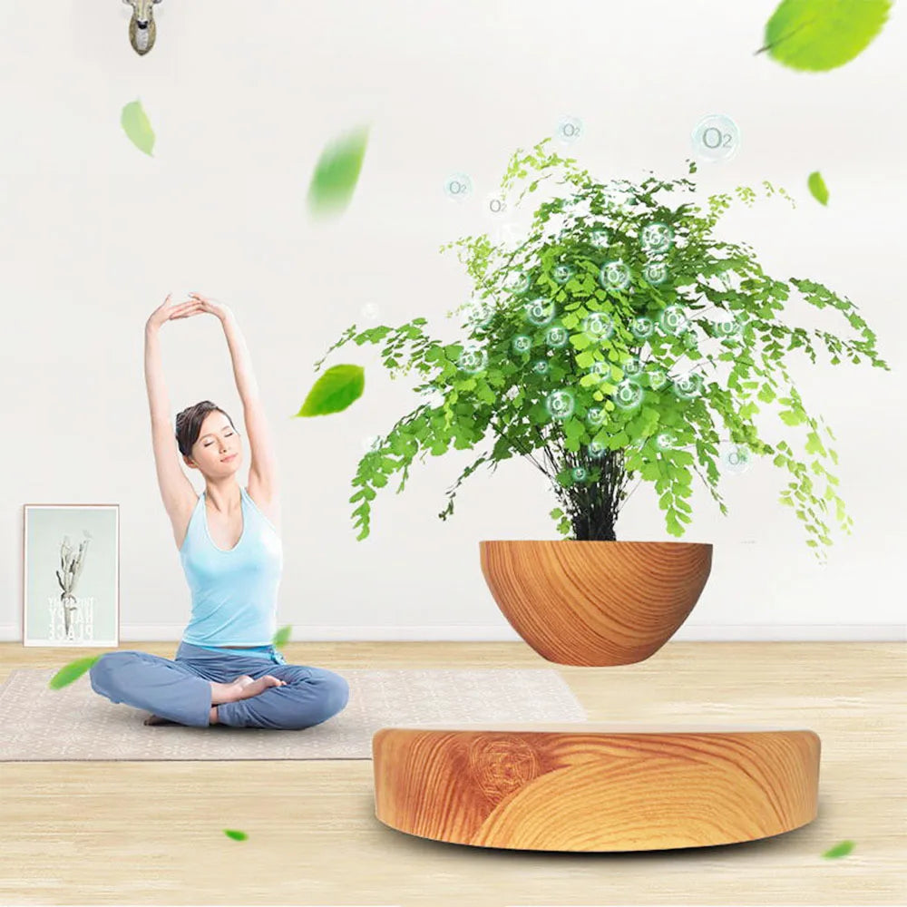 Magnetic Magical floating bonsai pot , floating in the air ,rotating 360 degrees automatically